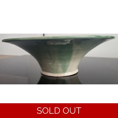 Aloe vera bowl